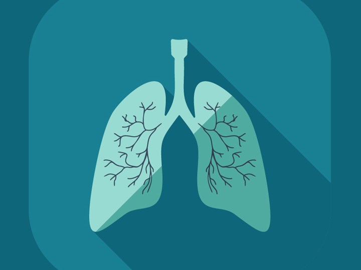 Grafische Darstellung einer Lunge